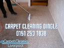 Carpet Cleaning Dingle logo